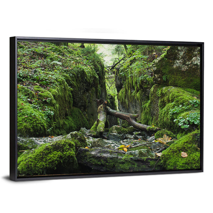 Kammersee Mossy Cleft Wall Art as a framed canvas