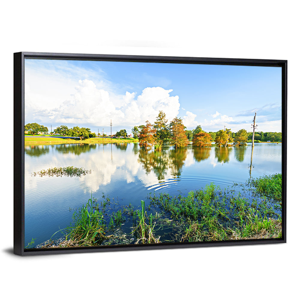 Lafayette Bayou Reflection Wall Art