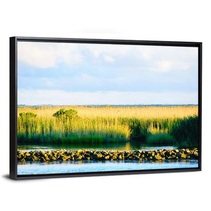Louisiana Bayou Marsh at Golden Hour Wall Art