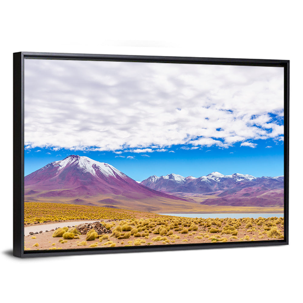 Lascar Snow-capped Volcano Wall Art