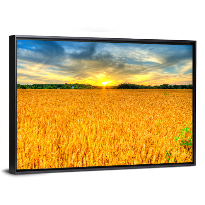 Wheat Field Sunset Wall Art as a framed canvas