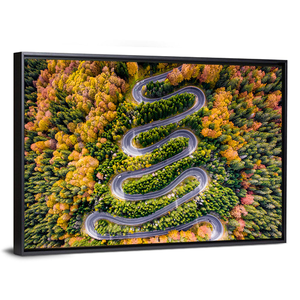 Winding Forest Road Wall Art