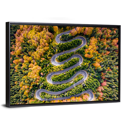 Winding Forest Road Wall Art