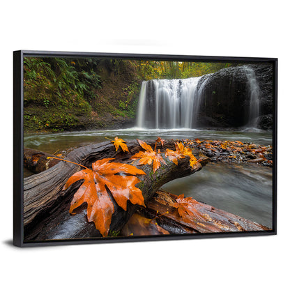 Clackamas Waterfall with Maple Leaf Wall Art