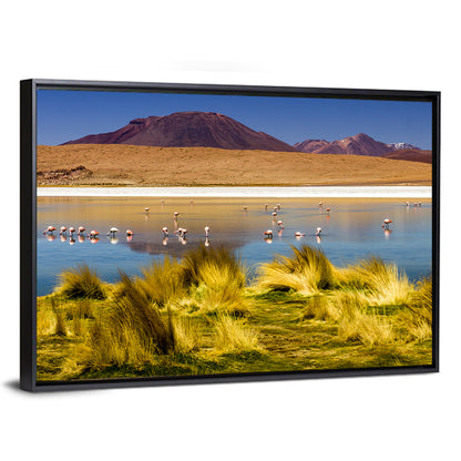 Flamingos on Salt Lake Wall Art