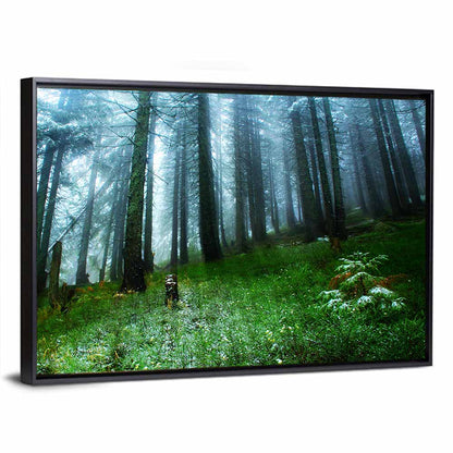 Light Gleams In Green Forest Wall Art