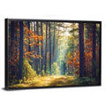 Sunlit Autumn Pine Forest Wall Art
