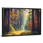 Sunlit Autumn Pine Forest Wall Art