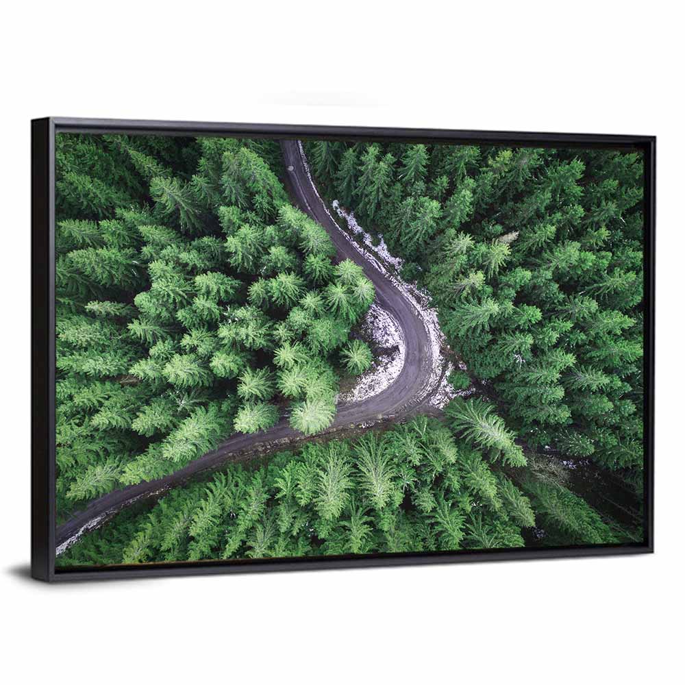 Aerial Forest Road Wall Art