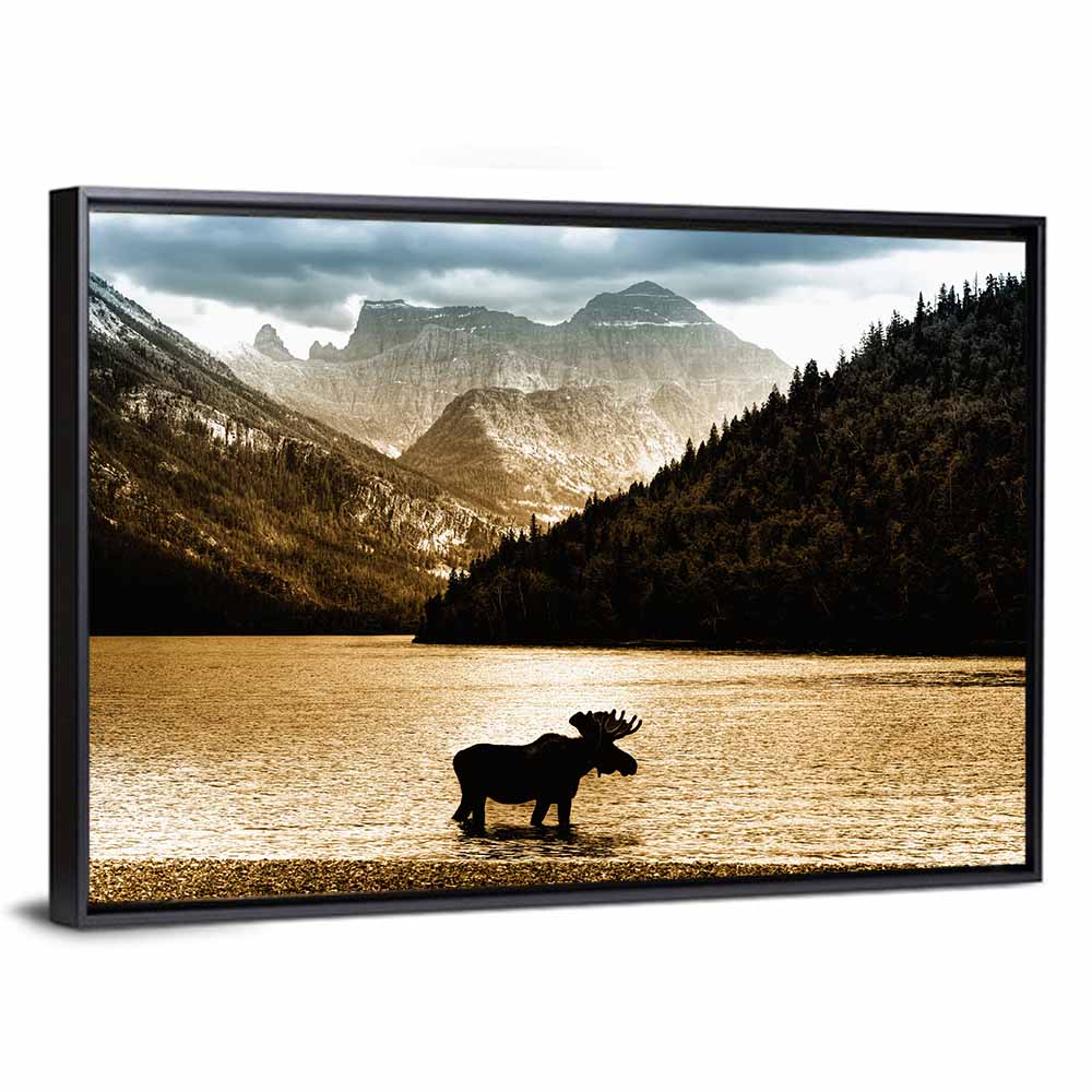 Moose at Waterton Lake Wall Art
