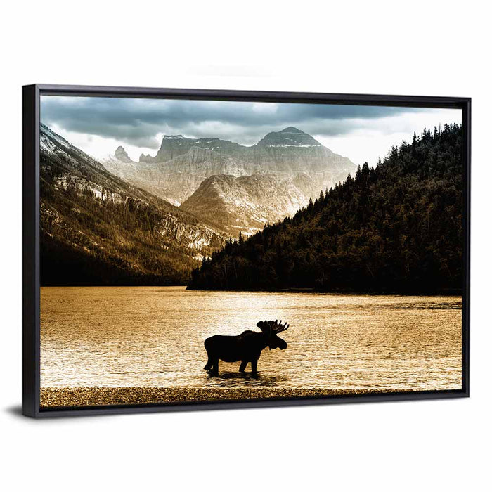 Moose at Waterton Lake Wall Art as a framed canvas