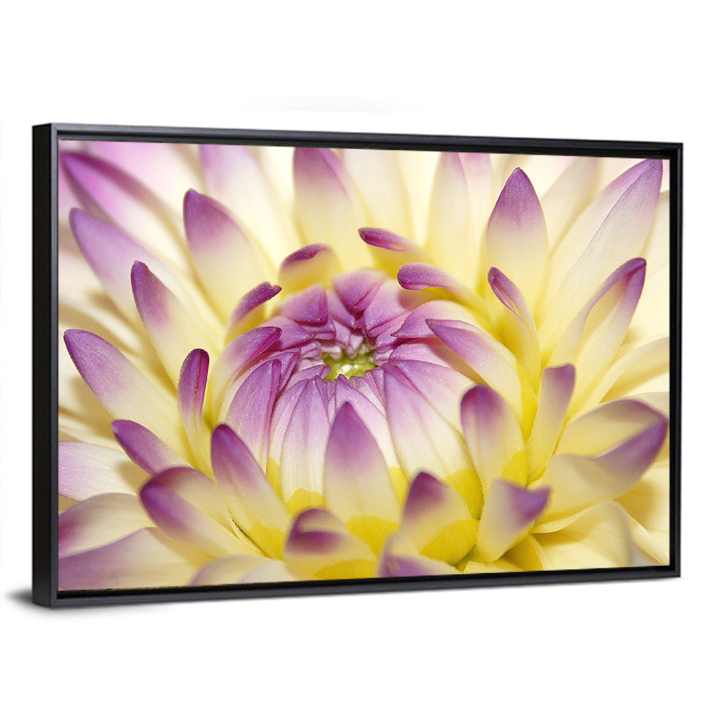 Dahlia Macro Portrait Wall Art