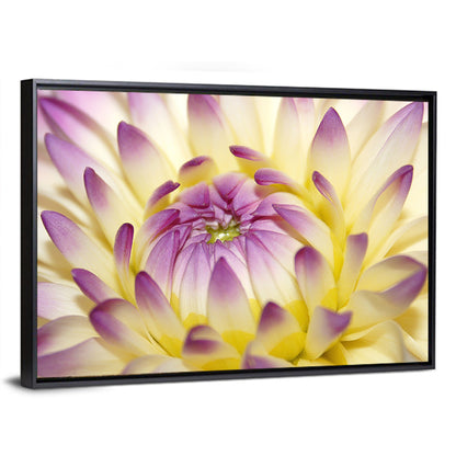 Dahlia Macro Portrait Wall Art