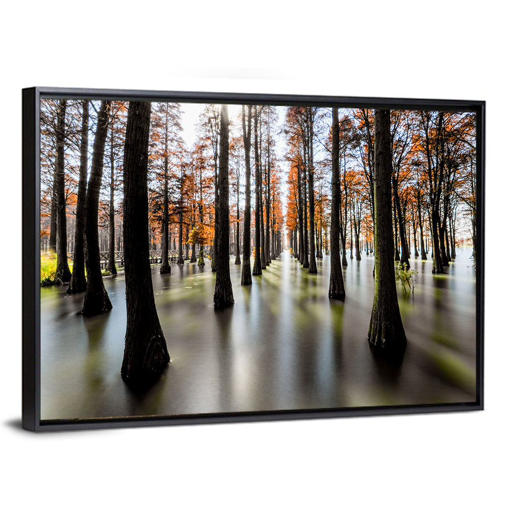 Autumn Flooded Cypress Forest Wall Art