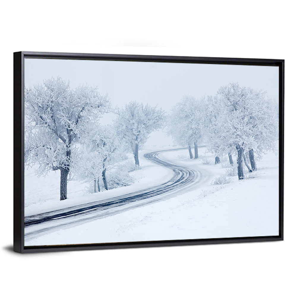 Misty Winter S-curve Road Wall Art