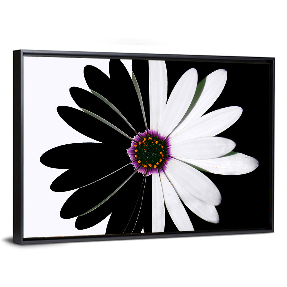 Black and White Daisy with Purple Ring Wall Art