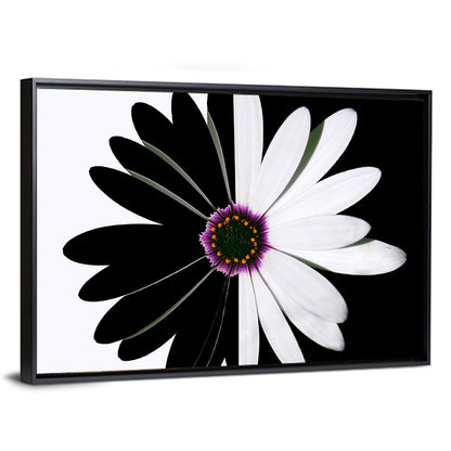 Black and White Daisy with Purple Ring Wall Art
