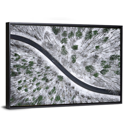 Snowy Forest Road Wall Art