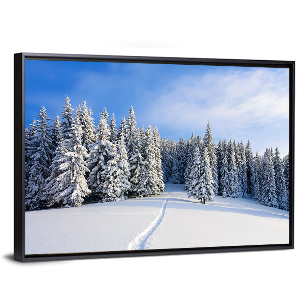 Snowy Mountain Forest Path Wall Art