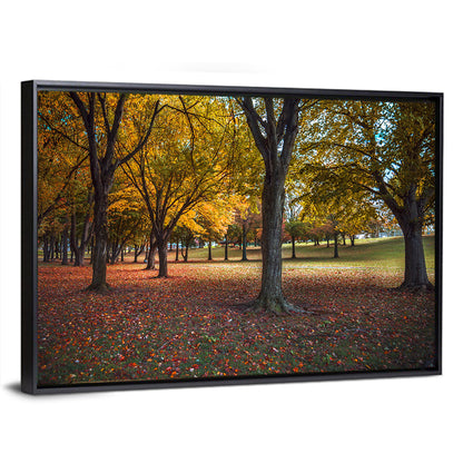 Autumn Park Trees, Pennsylvania Wall Art