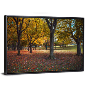 Autumn Park Pennsylvania Wall Art