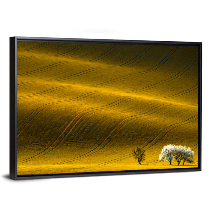 Golden Hour Rapeseed Field Wall Art as a framed canvas