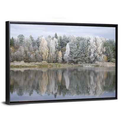 Pskov Region Forest Lake Wall Art
