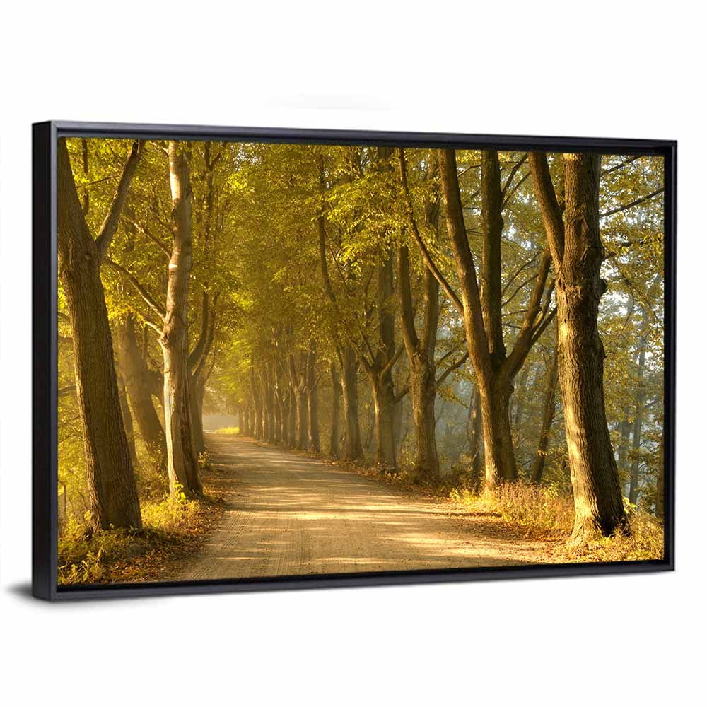 Autumn Road Through Golden Forest Wall Art