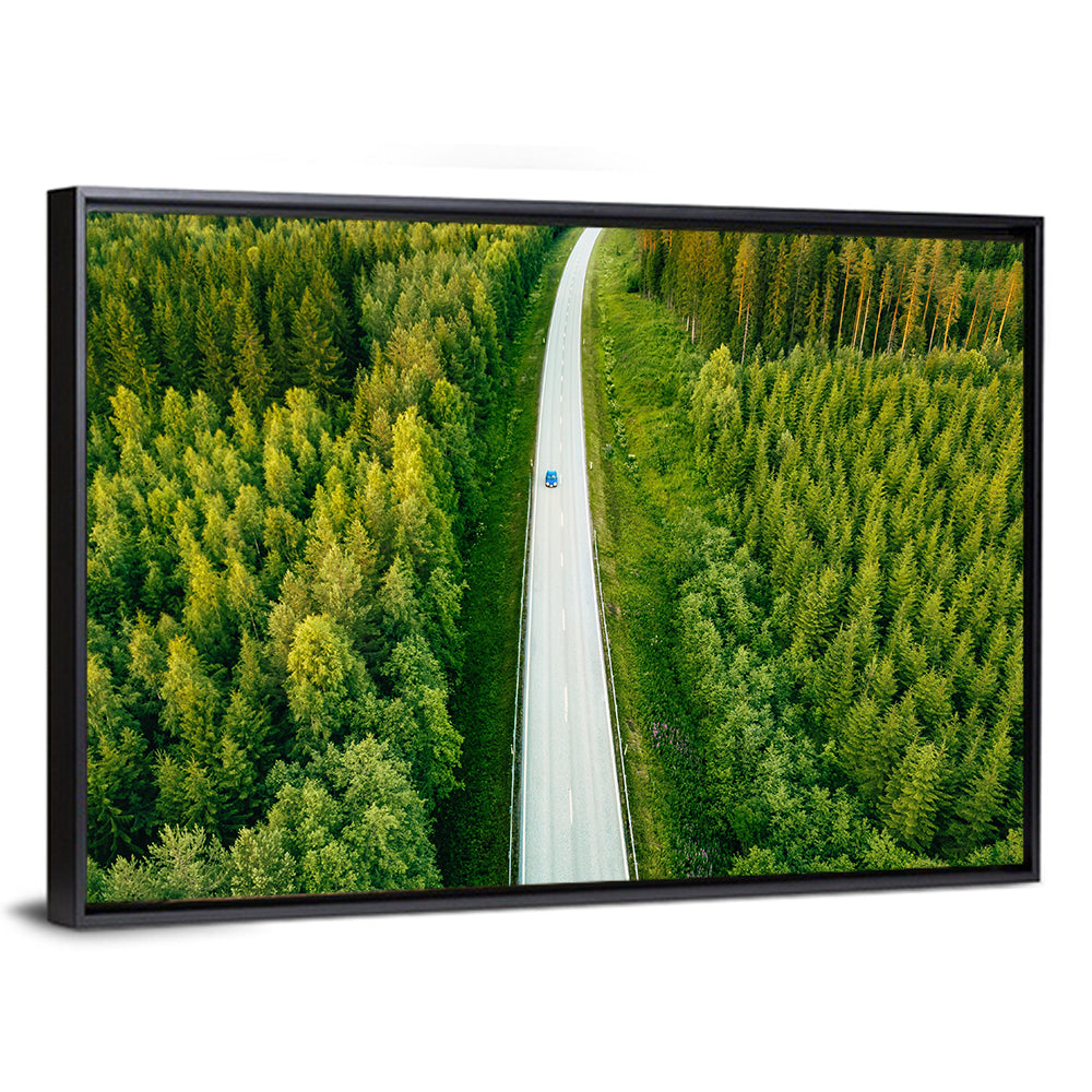 Blue Car on Forest Road Wall Art
