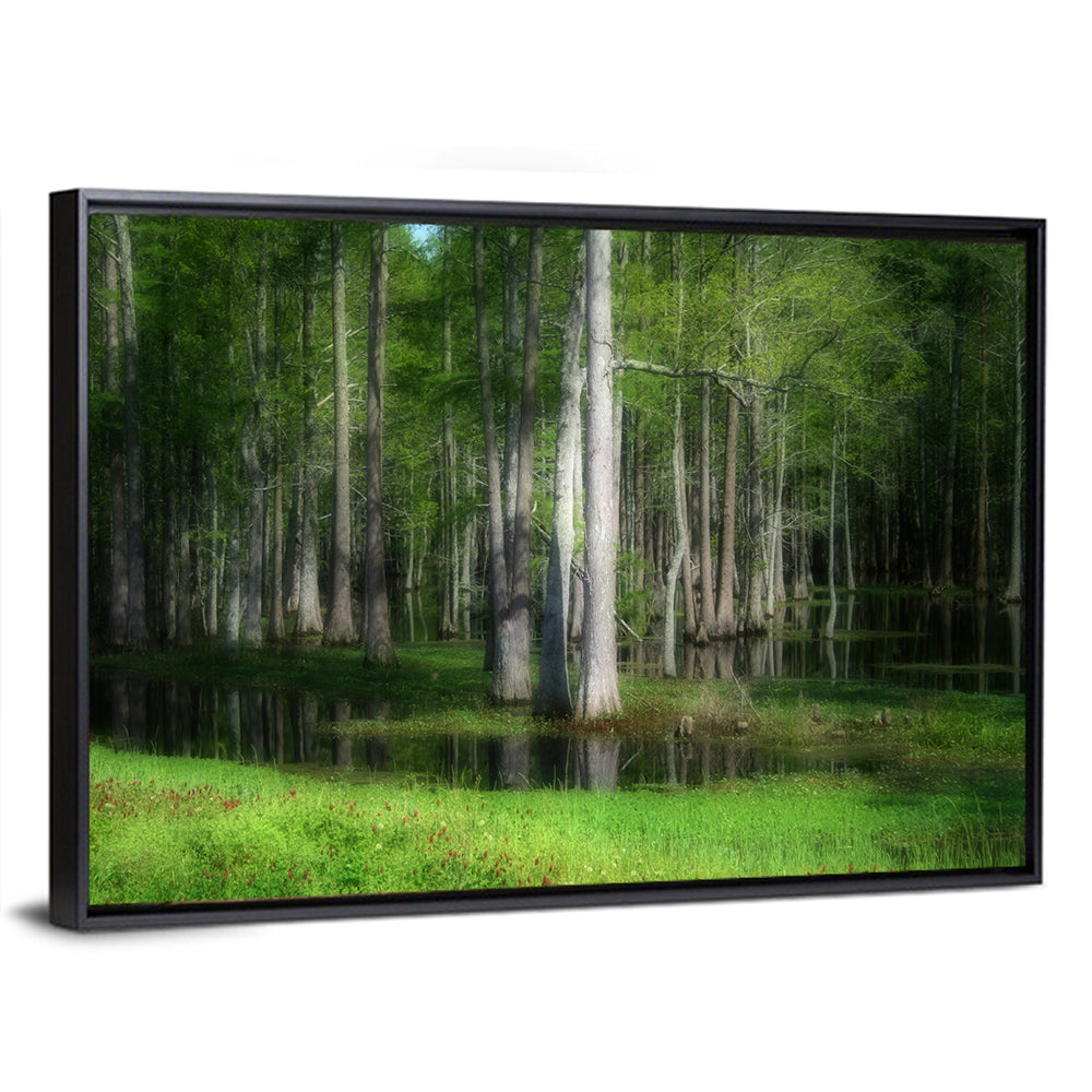 Lush Cypress Swamp Wall Art