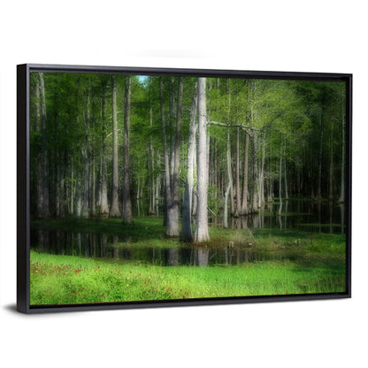 Lush Cypress Swamp Wall Art
