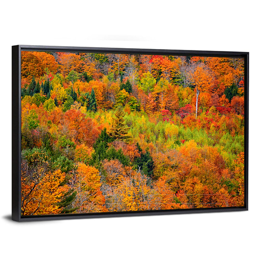 Vermont Autumn Mountain Forest Wall Art