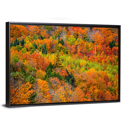 Vermont Autumn Mountain Forest Wall Art