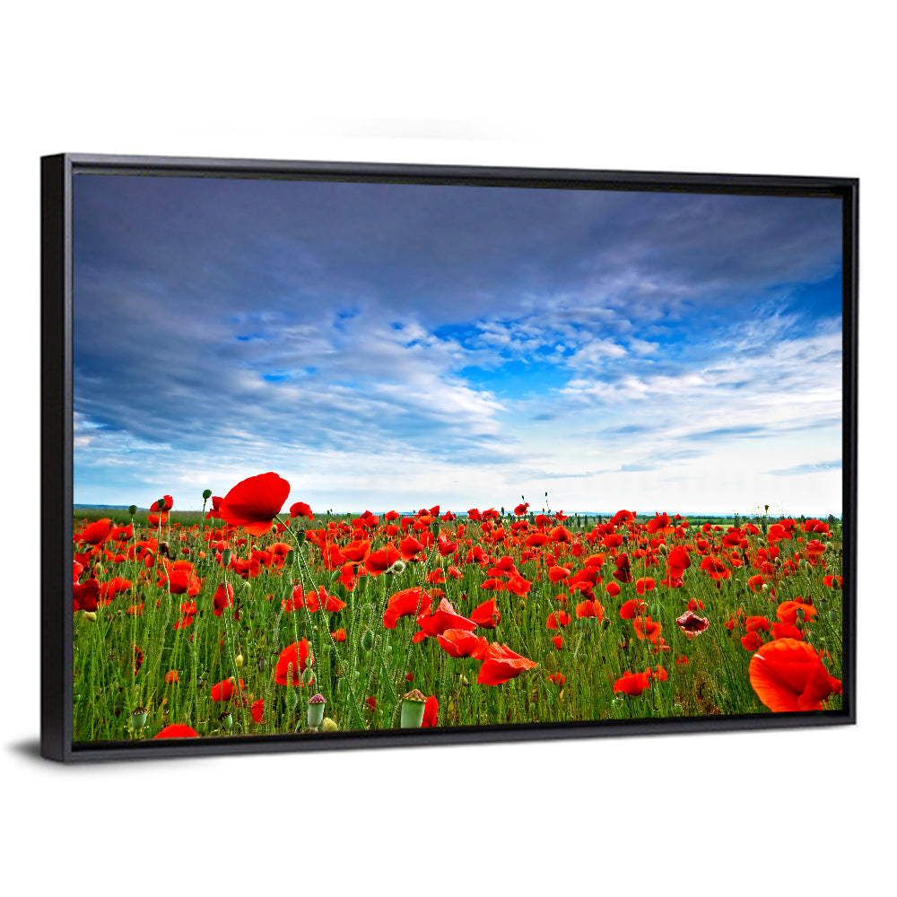 Red Poppy Field Wall Art