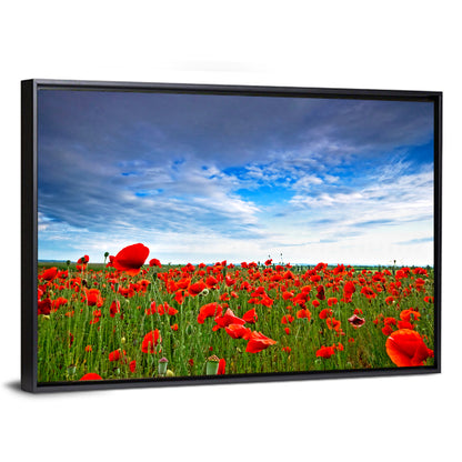 Red Poppy Field Wall Art