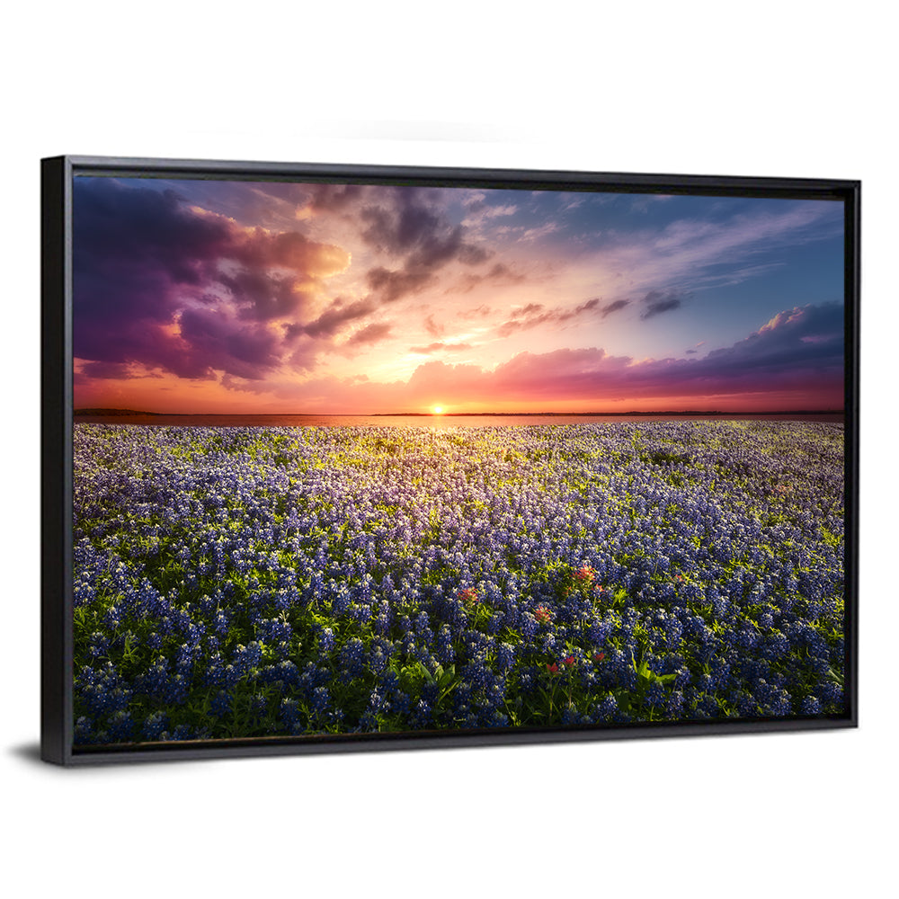 Texas Bluebonnet Sunset Wall Art
