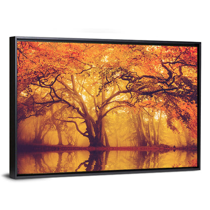 Golden Mist Forest Reflection Wall Art