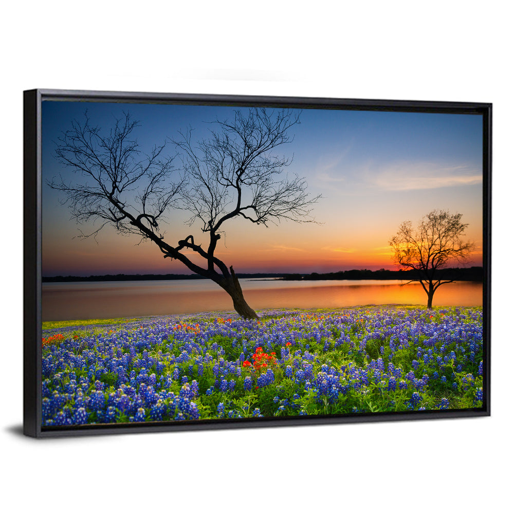Texas Bluebonnet Sunset Wall Art