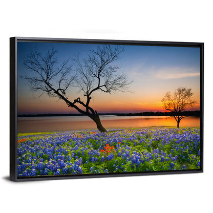 Texas Bluebonnet Sunset Wall Art