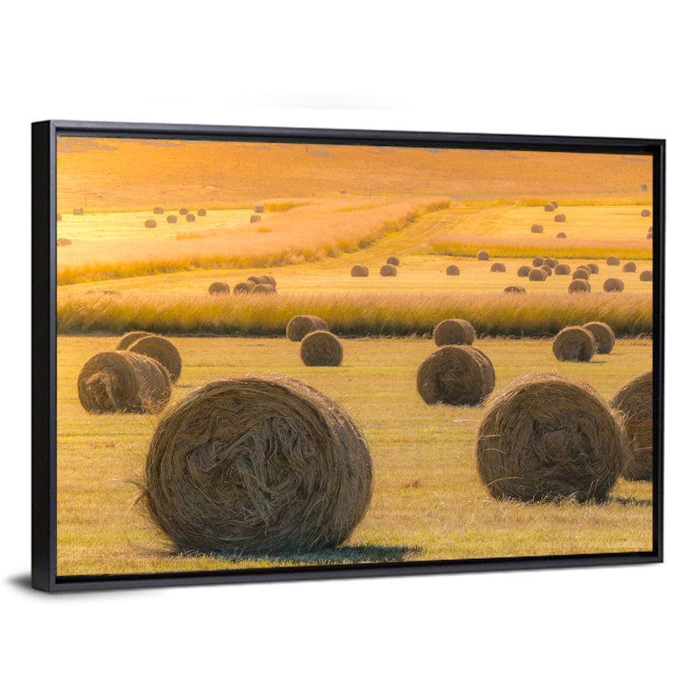 Hay Bales at Golden Hour Wall Art