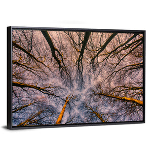 Misty Forest Abstract Wall Art