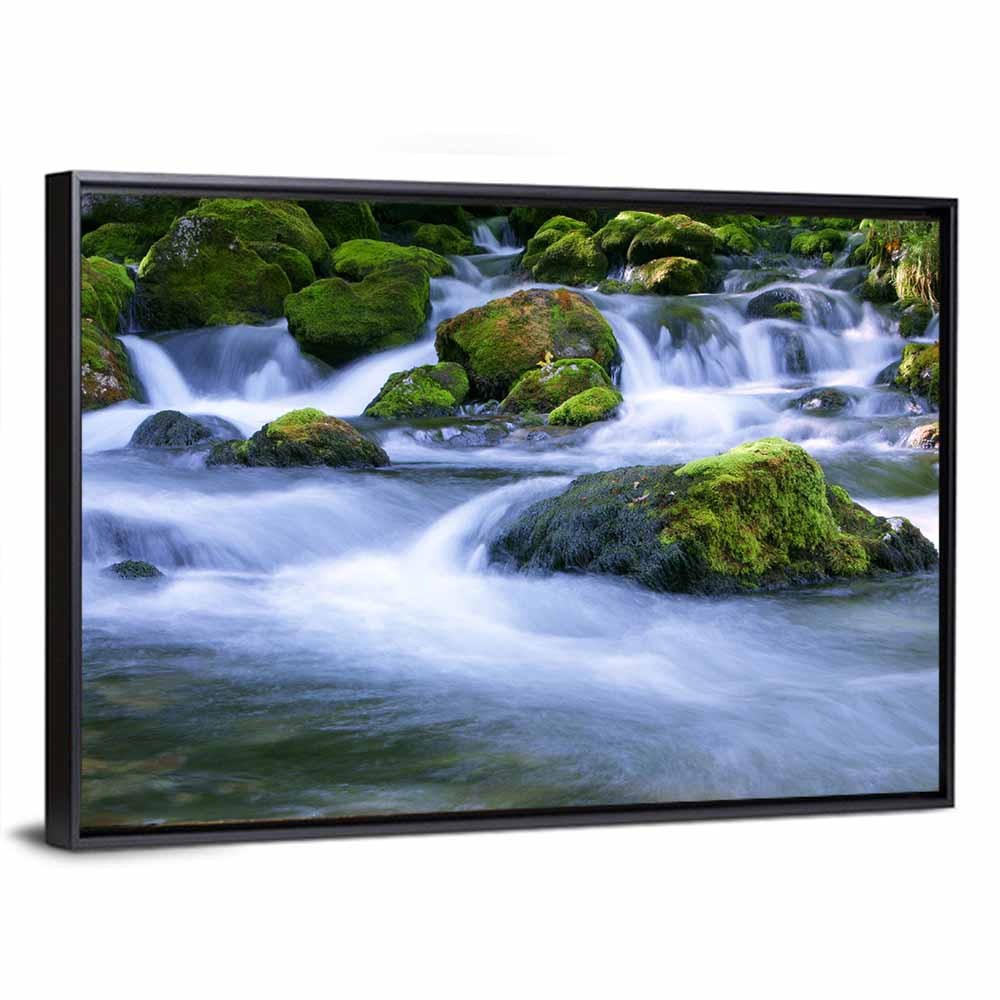 Mossy Forest Stream Wall Art