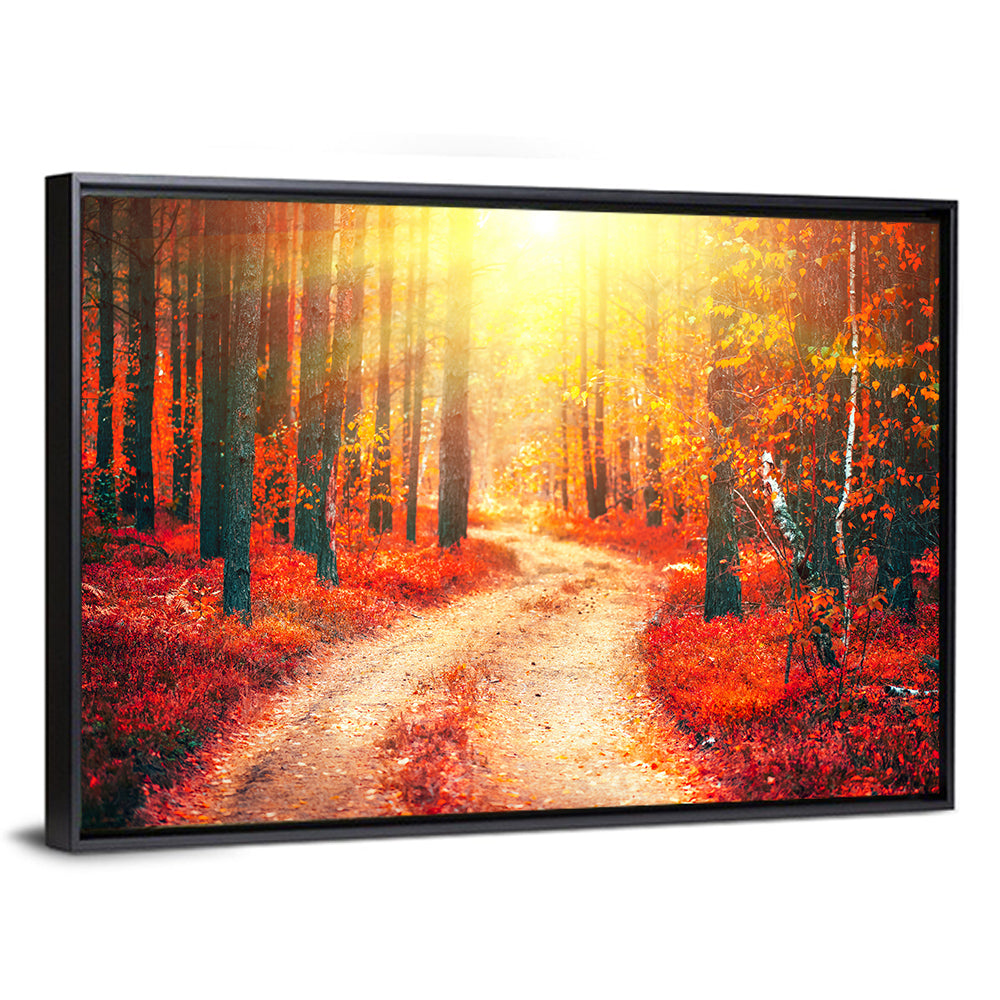 Autumn Forest Pathway Wall Art