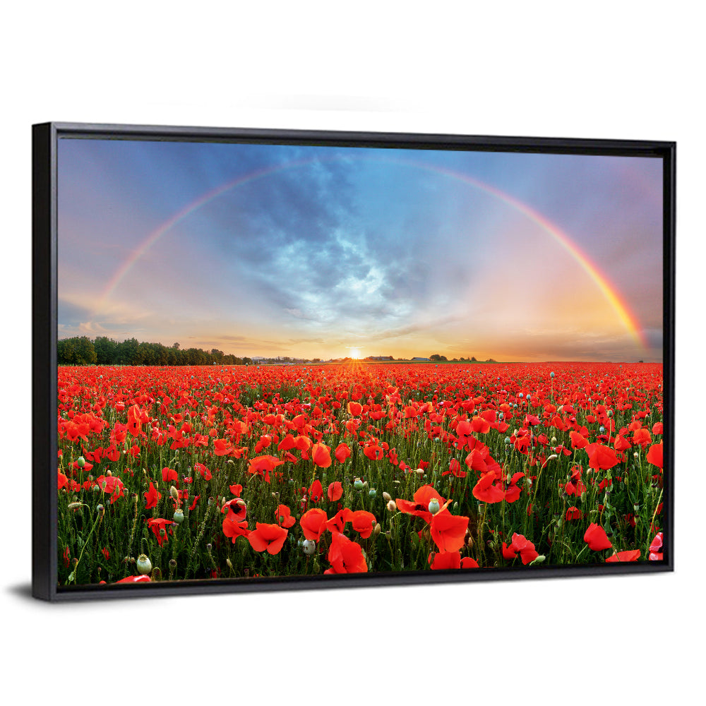 Poppy Field with Double Rainbow Wall Art