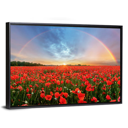 Poppy Field with Double Rainbow Wall Art
