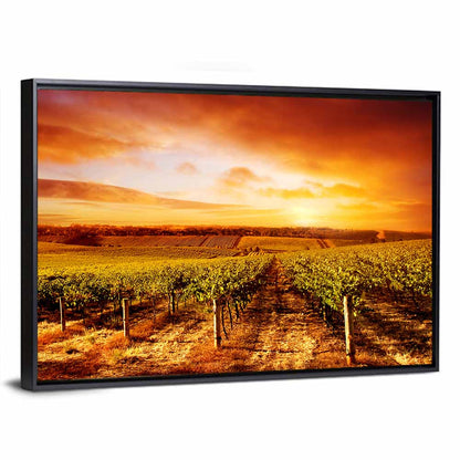 Australian Vineyard Sunset Wall Art