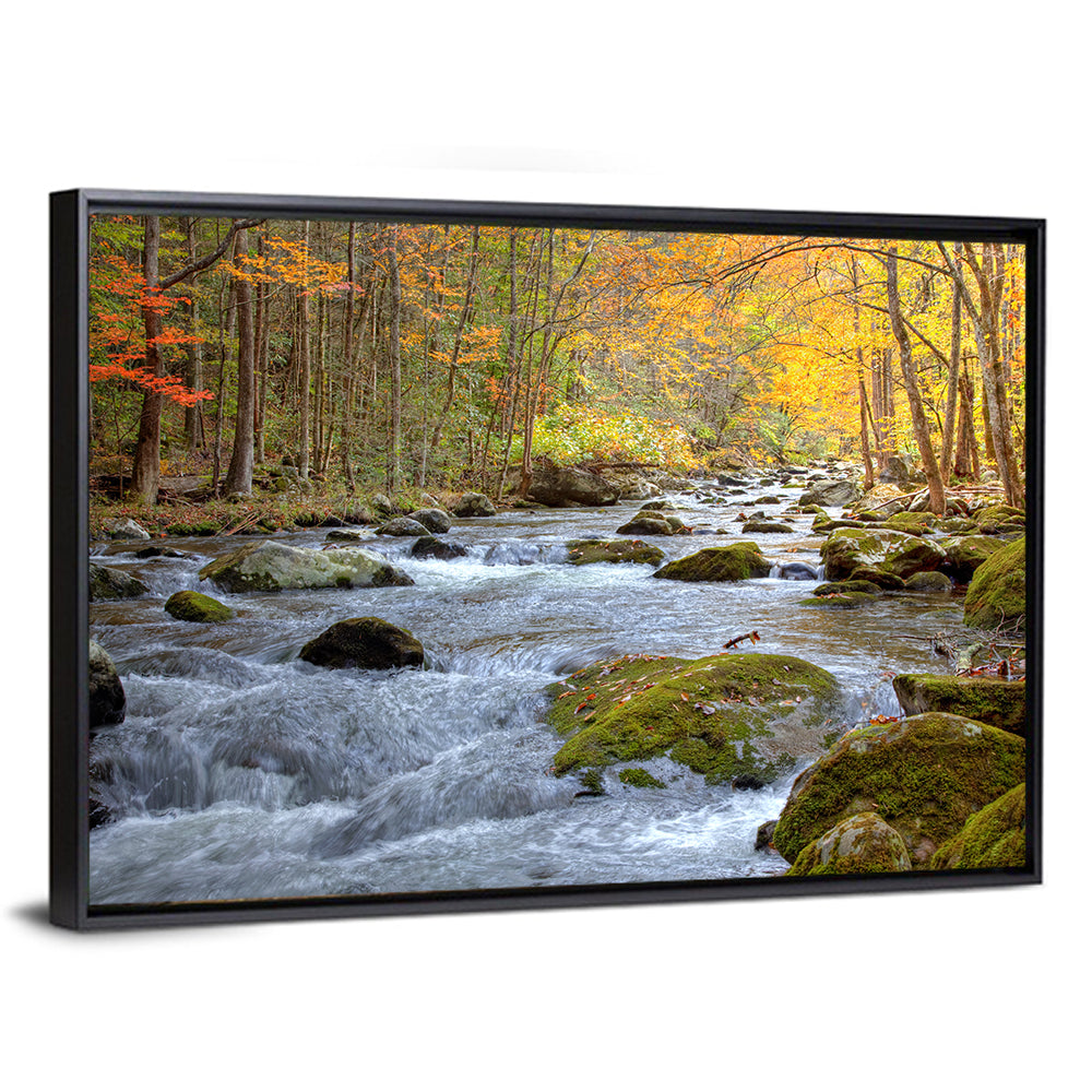 Autumn Mountain Stream Wall Art