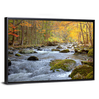 Autumn Mountain Stream Wall Art