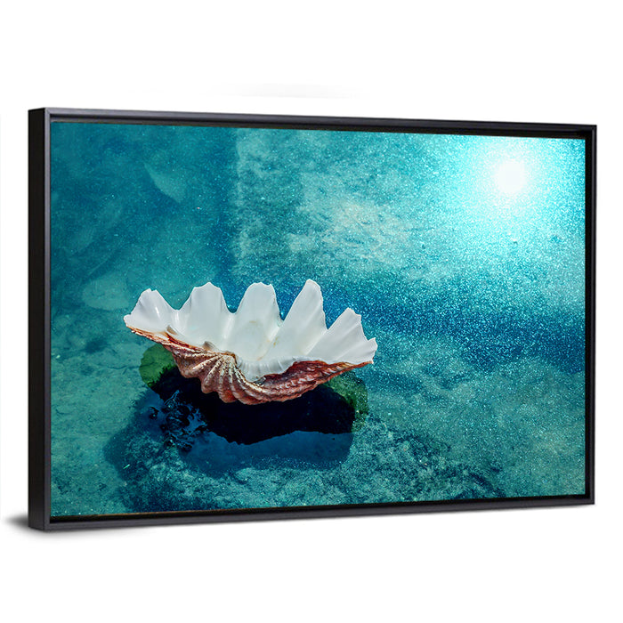 Giant Clam Shell Wall Art as a framed canvas