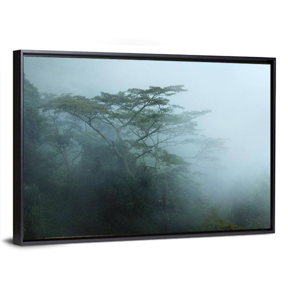 Misty Rainforest Canopy Wall Art